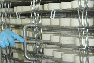 Fabrication du fromage - Pulvérisation de ferments microbiens sur les fromages frais avant affinage